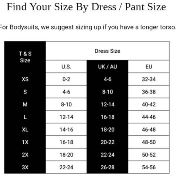 Thistle and Spire panties Sidney Keyhole thong in black lace velvet NWT sz XL 1X - Picture 2 of 2